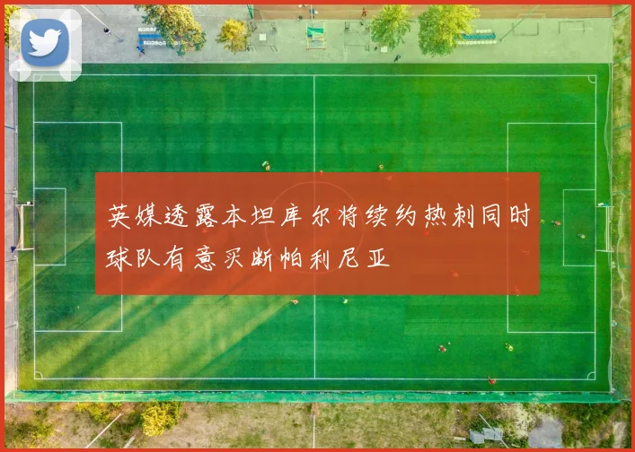 英媒透露本坦库尔将续约热刺同时球队有意买断帕利尼亚