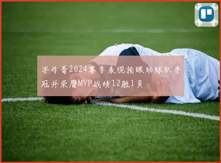 字母哥2024赛季表现抢眼助球队夺冠并荣膺MVP战绩12胜1负