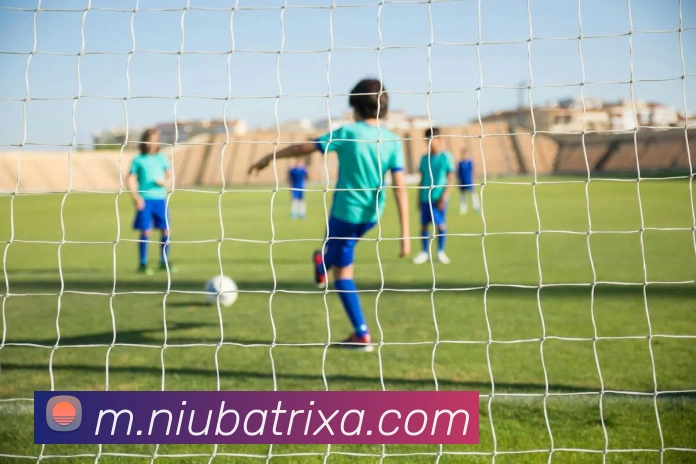 牛八体育平台生态图