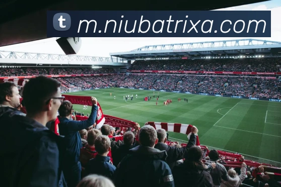 牛八体育APP 封面图