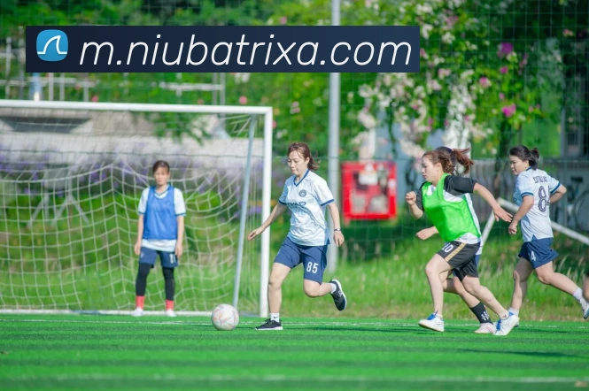 数据防护可视化